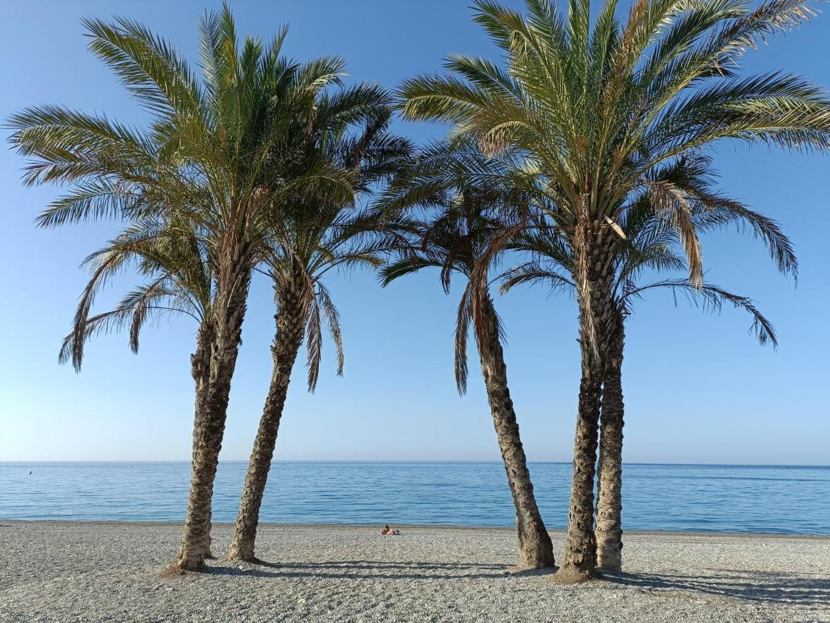 Apartamento Maravilla Tropical - La Herradura Almuñécar Dış mekan fotoğraf